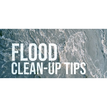 Flood Clean-Up Tips