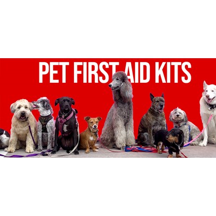 Pet First Aid Kit Tips
